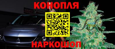 спиды Пугачёв